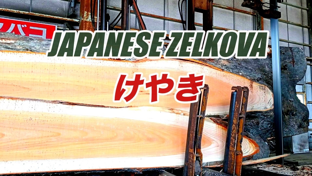 欅の原木製材・けやき・JAPANESE ZELKOVA - YouTube