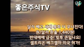 달러 빼고 세계 통화 다 무너진다! 원달러 환율 1,440원! 반대매매 급증! 빚투 큰일나요! 셀트리온 베그젤마 미국 허가!