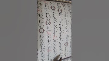 كيف نقرا(وأَلٌَوِ)في سورة الجن #اكسبلور #لايك #المصحف #ترند #تجويد_القران#elmulquranعلم