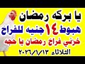 سعر الفراخ البيضاء اليوم اسعار الفراخ البيضاء اليوم الثلاثاء ١٣ ١ ٢٠٢٦ في مصر اسعار الفراخ اليوم 