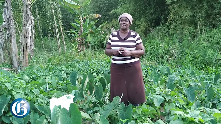 Wife, mother, teacher, JP, farmer  Pauline Givans ...