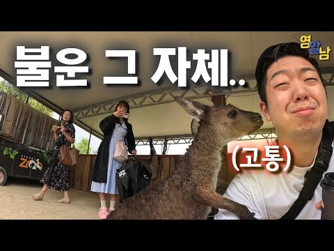호주에서 동물을 함부로 만지면 안되는 이유