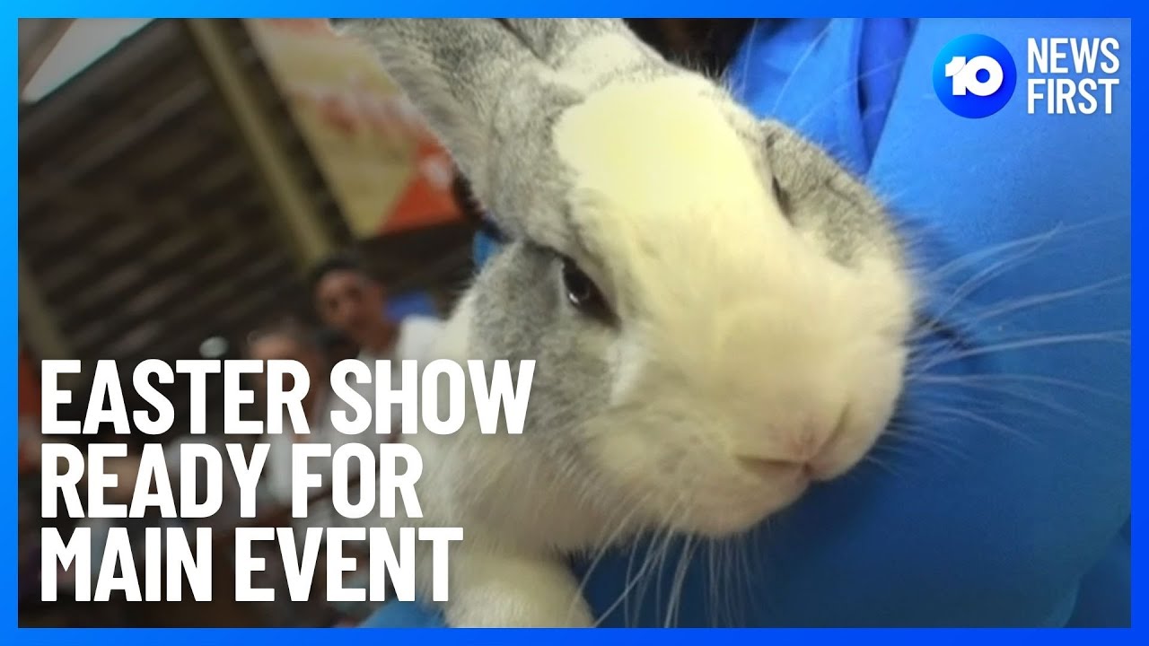 Sydney Royal Easter Show Prepares For Sunday | 10 News First - YouTube