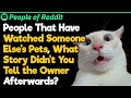 What Happened While You Watched Someone’s Pet That You Can’t Tell the Owner? | People Stories #844