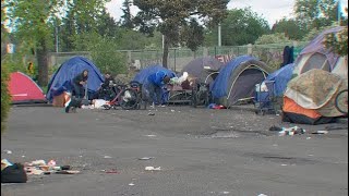 Business a bust for restaurant owners after homeless build encampment through the parking lot