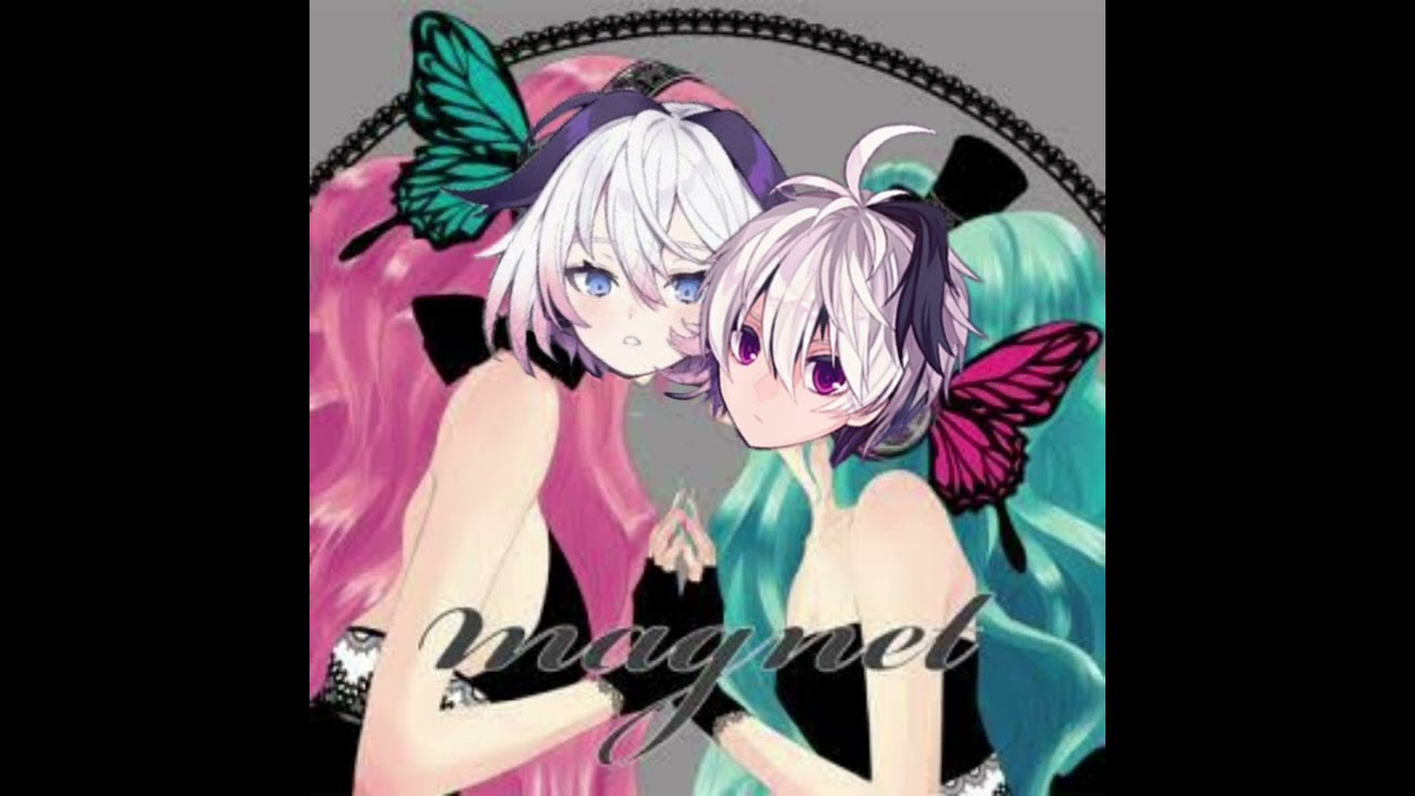 【v flower × ci flower 2.0】Magnet【VOCALOID & CeVIO cover】