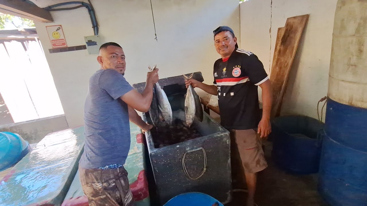 QUE BENDICION NOS MANDA MI DIOS MIREN CUANTO PESCADO 🙏🤗🙏