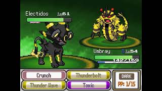 Elite 4 Champion Battle (Pokemon Infinite Fusion) @KRDsonic