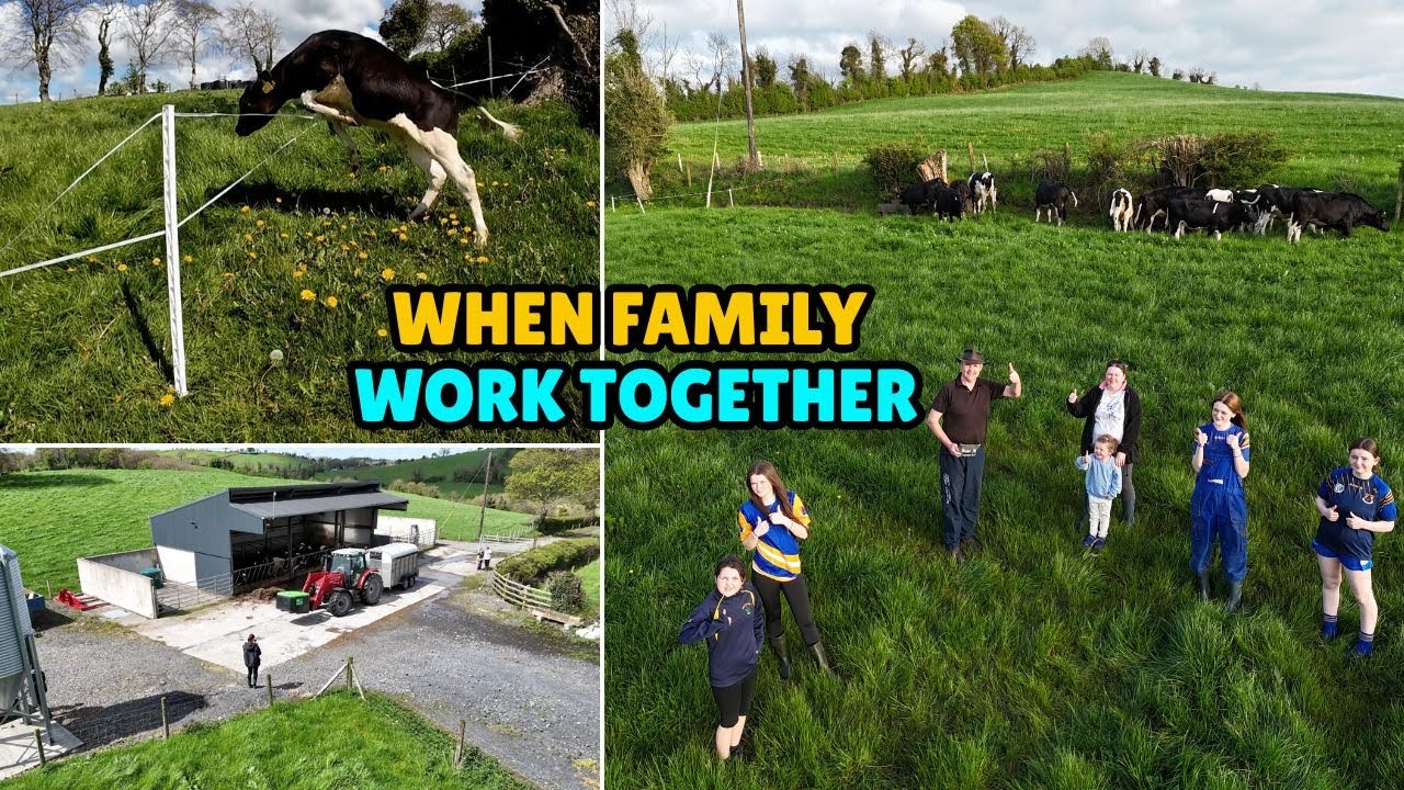 BUSY Bank Holiday For Our Family || Turning Corners & Over Coming Problems