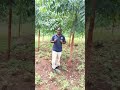 Tree planting in Uganda. www.airsavefoundation.org