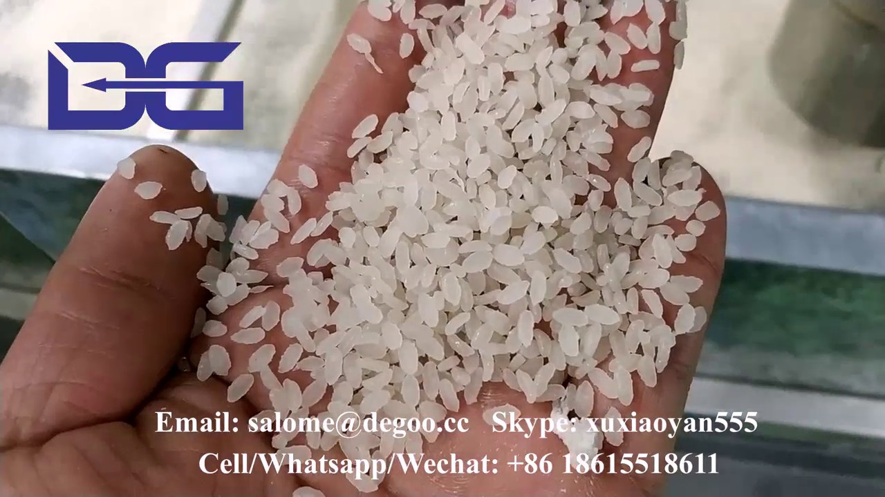How Twin Screw Extruder Machine Used for Broken Rice convert into long ...