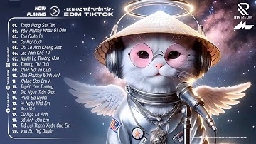 Nhạc Remix Hot Tiktok 2025🎼TOP 30 Nhạc Trẻ Remix Hay Nhất 2025 - BXH Nhạc Remix Nghe Nhiều Nhất 2025