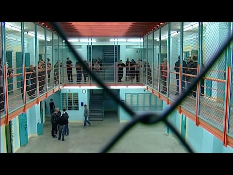 საარჩევნოდ დაანონსებული ამნისტია - ხმებზე ნადირობის სეზონი  ოცნებამ ჩვეული სტილით დაიწყო