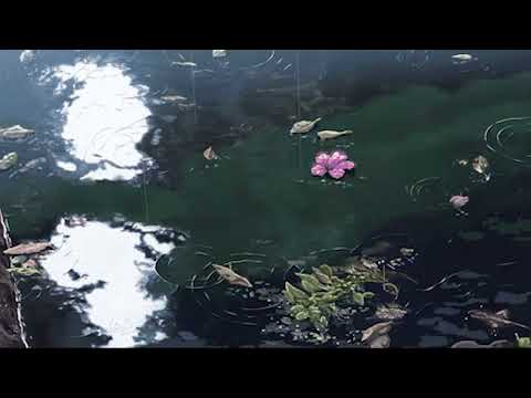 "Passionfruit" Xtra Chill - Drake (No Spoken Intro + Slowed to Perfection + Lower Pitch)