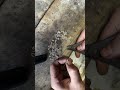 Silver Chan making
