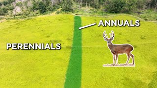 Enhancing Deer Habitat with Native Forage Mix by Whitetail Properties 1,922 views 2 weeks ago 2 minutes, 10 seconds