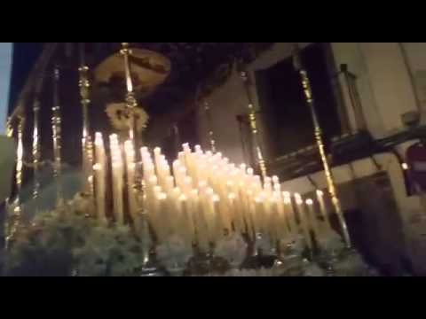 Pontificia, Real, Carmelitana, Venerable e Ilustre Hermandad y Cofradía de Nuestro Padre Jesús Caído y Nuestra Señora del Mayor Dolor en su Soledad