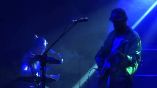 Video thumbnail of "The Acid - Basic Instinct (HD) Live In Paris 2014"