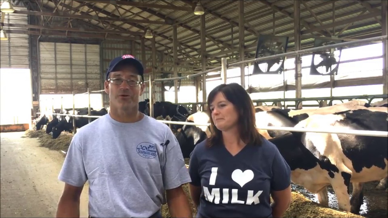 Beginning Dairy Farmer Video SeriesSchanbacher AcresPart 6 YouTube
