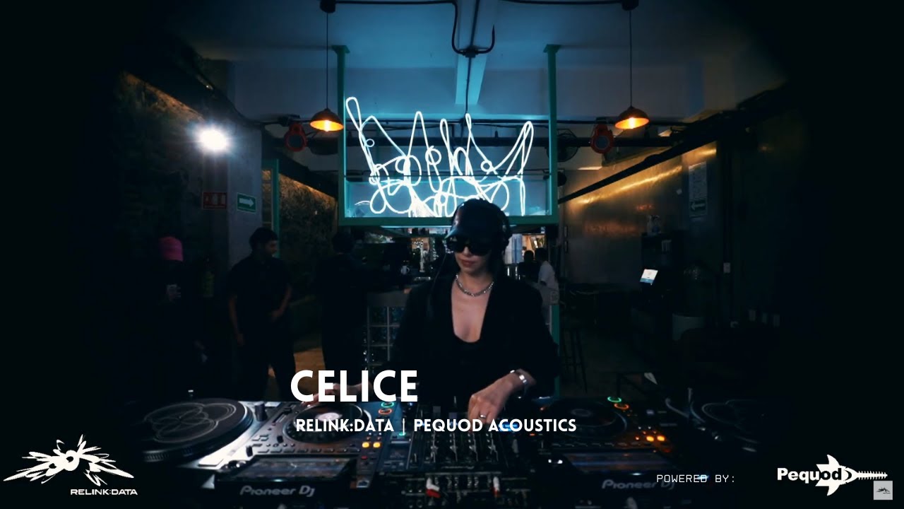 Relink:Data | Celice | Pequod Acoustics