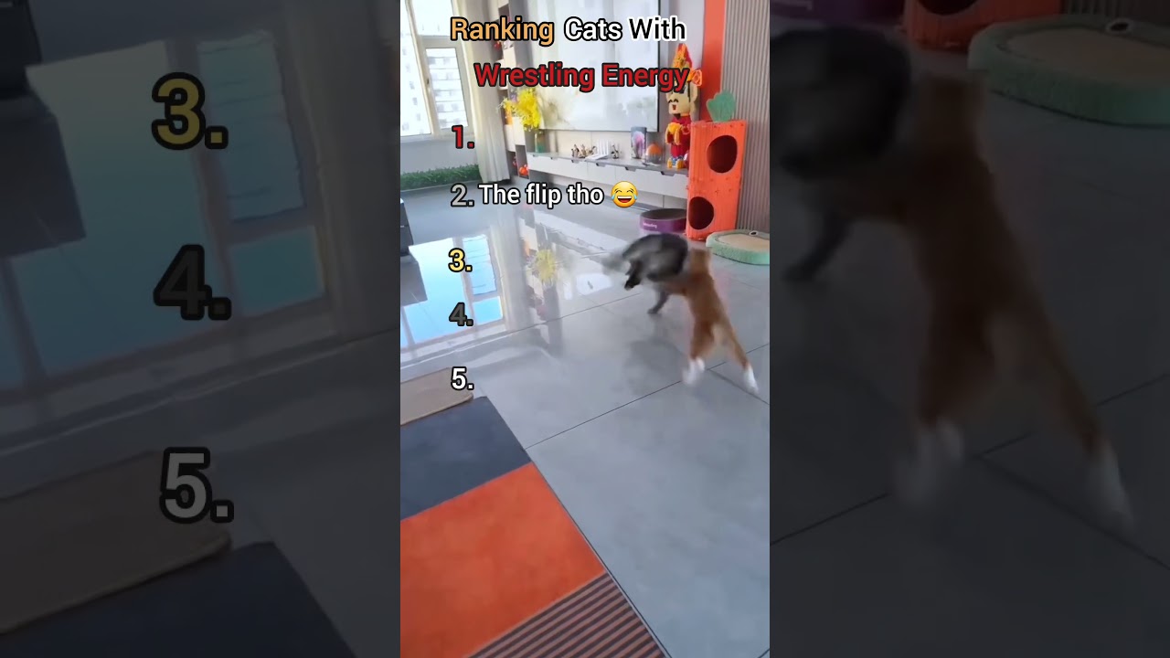 Ranking pets with wrestling energy 🐾🔥 #cats #dogs #shorts #pets