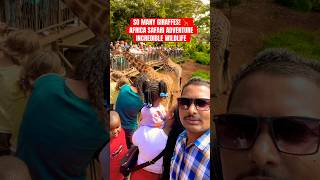 So Many Giraffes in Africa! 🦒 Amazing Safari Experience ||African Wildlife Adventure,#wildlife