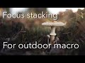 Macro focus stacking: Photoshop tutorial