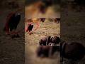 The Dark Truth Behind Kevin Carter's Pulitzer-Winning Photo #facts #shortvideo