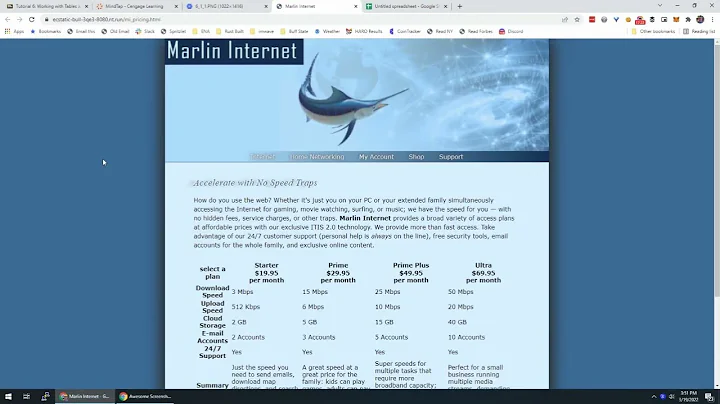T6 Case Problem 1: Marlin Internet MindTap Solution