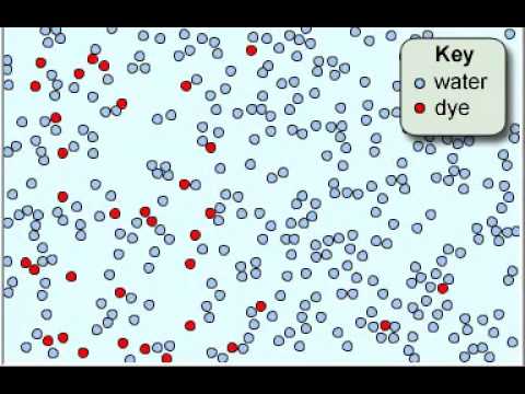 diffusion