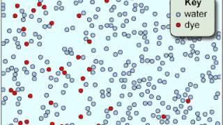 diffusion