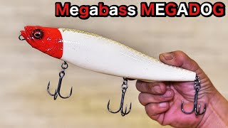 やっぱりレッドヘッド！メガバス「メガドッグ」にバイト連発！ #メガバス