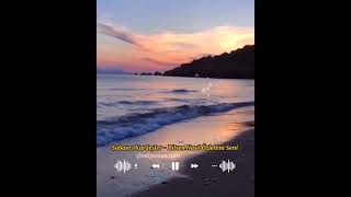 Bilsen Nasıl Özledim Seni