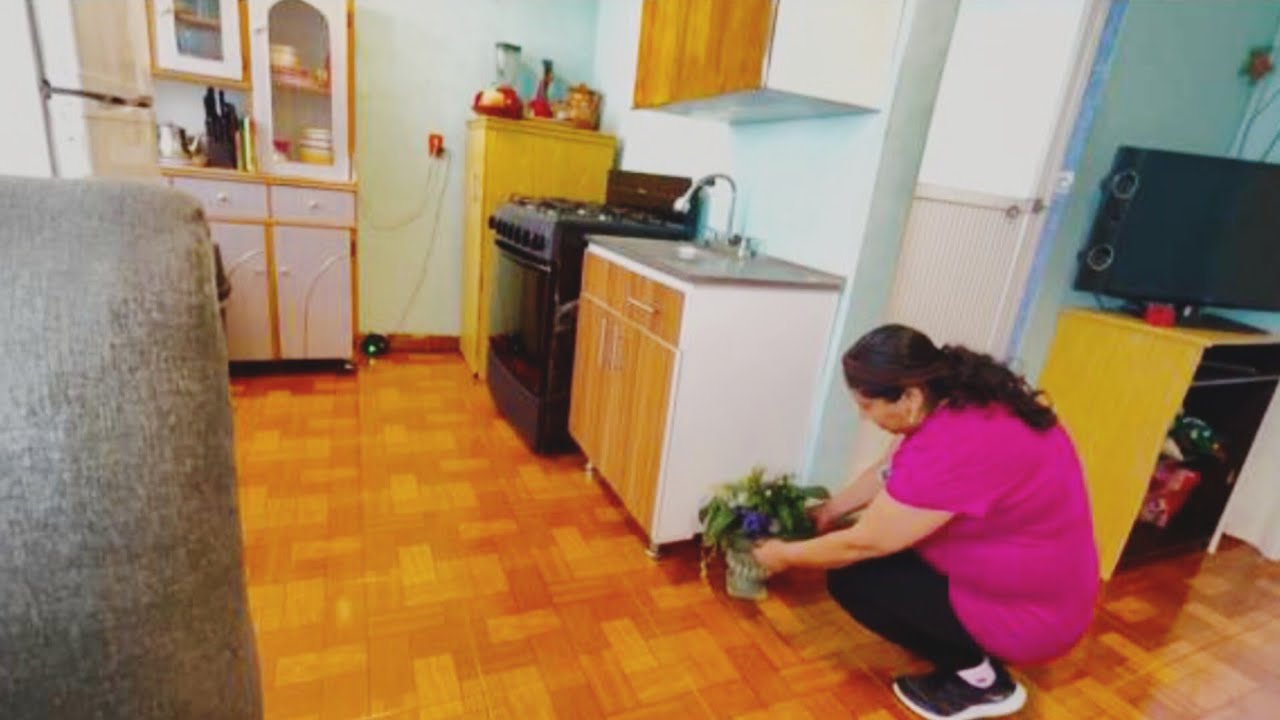 👉LIMPIEZA PROFUNDA DE MI COCINA 🧽✨MI CASA QUEDÓ MÁS BONITA🏡❤️