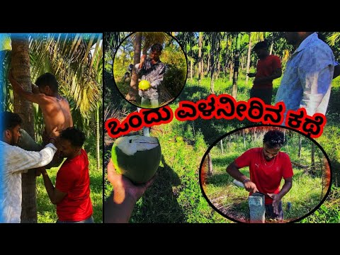 ಒಂದು ಎಳನೀರಿನ ಕಥೆ🙆‍♂️🤷‍♂️ /day 1 volg  / short rides with buddies