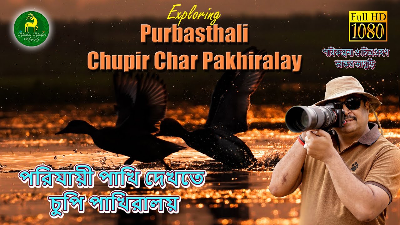 Exploring Migratory Birds of Chupi Pakhiralay | চুপি পাখিরালয় | চুপির চর পূর্বস্থলী #migratorybirds