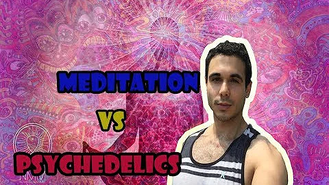 Can You Achieve DMT Hyperspace By Meditation? -Terence Mckenna Vs. Neuroscientist-