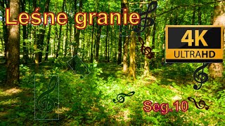 Leśne granie. Seg.10