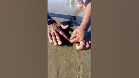 Unbelievable Catching with Empty Hand #fishing #fishingvideos #seafishing #thoondilulagam