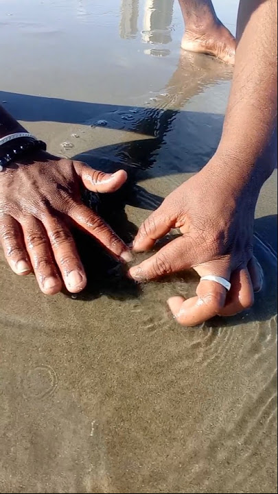 Unbelievable Catching with Empty Hand #fishing #fishingvideos #seafishing #thoondilulagam