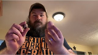 Taste testing quail eggs compared to regular chicken egg