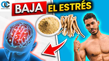 ¿Ayuda Ashwagandha con la ganancia muscular?