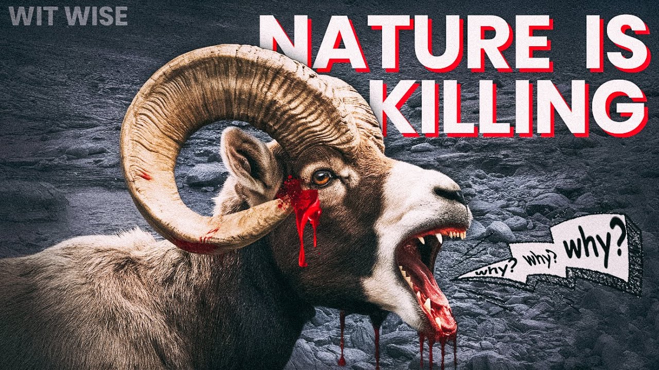 Dark Side of Nature | Fatal Flaws: Animals That Can Self-Destruct