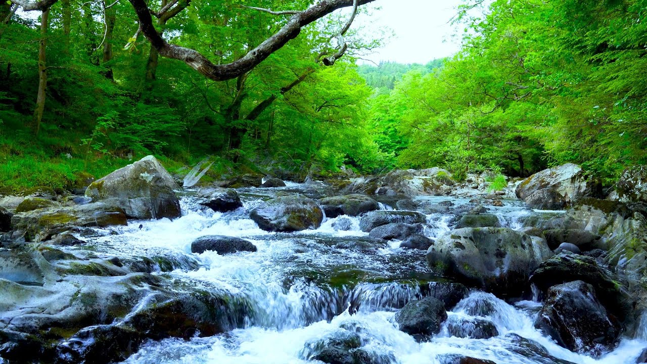 Forest Stream Flowing Sound 24/7. Relaxing Waterfall Sounds. Water White Noise for Sleep or Relax.