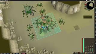 OSRS Kalphite Queen Ayak RedX