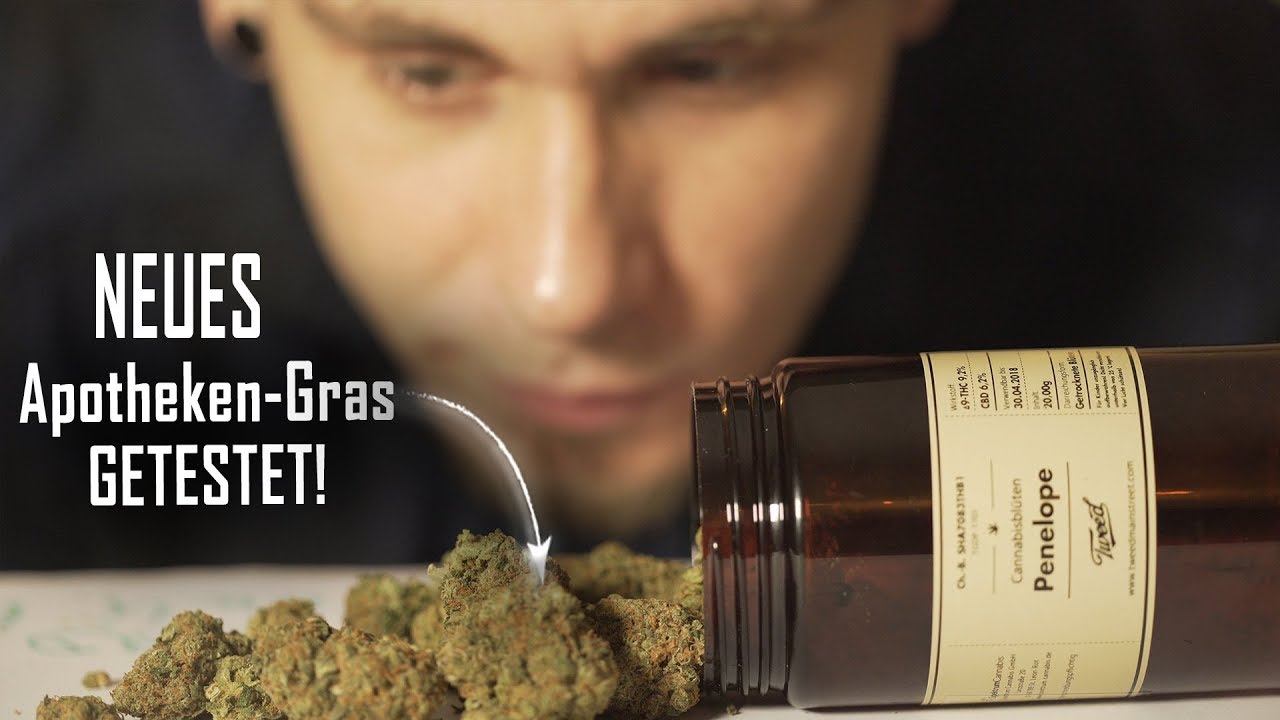 Das NEUE LEGALE Gras im TEST!