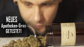 Das NEUE LEGALE Gras im TEST!