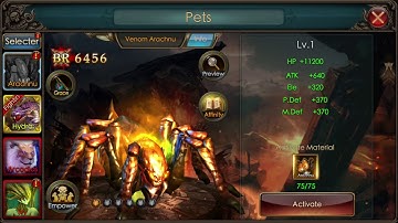 Legacy of discord activating arachnu spider pet