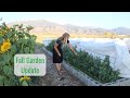 2021 Fall Garden Update and Harvest Prospects, Plans for Next Year