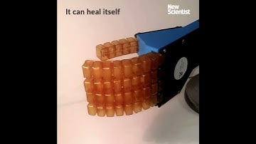 Jelly robot can heal itself